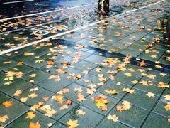 -建国328 本帮小馆·面馆