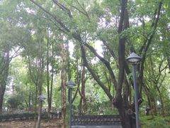 -九龙寨城公园
