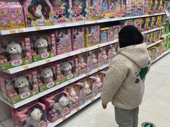 -TOYSRUS玩具反斗城(武汉荟聚中心店)
