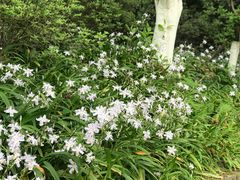 -南山植物园