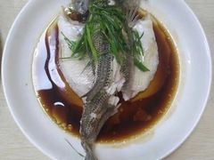 -金贝儿月嫂(高新尚品国际店)