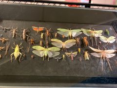 -燕莎友谊商城(亮马桥店)