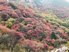 -石门坊