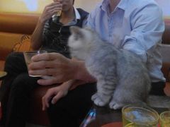 android_upload_pic-佰迪乐KTV(秀灵店)