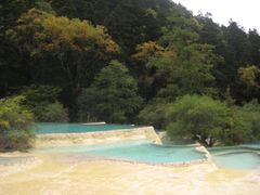 -黄龙山原始森林景区