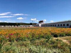 -坝上草原大汗行宫旅游景区