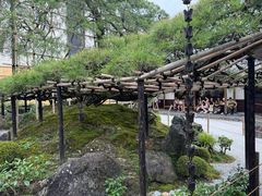 -中村藤吉(本店)