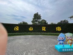 -径山花海