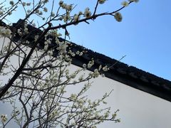 -南京市民俗博物馆(甘熙故居)