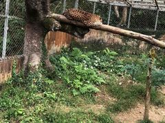 -宁波野生动物园