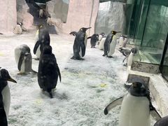 -大连圣亚海洋世界