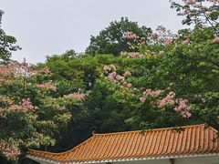 -中山公园(石岐街道)