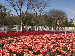 -玄武湖景区-情侣园游乐场