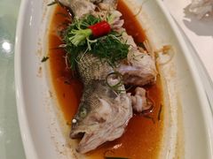 -大树头·花园餐厅(市桥店)