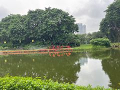 -广州长隆飞鸟乐园