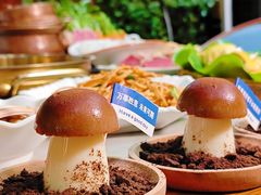 -大理董·董家小厨野生菌火锅(古城旗舰店)