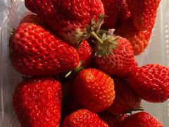 -远洋未来广场(育慧北路店)