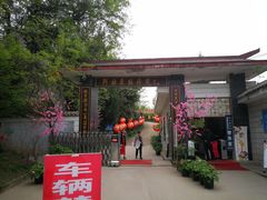 -盛世牡丹苑生态文化旅游区