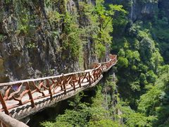 -鹿院坪生态旅游景区