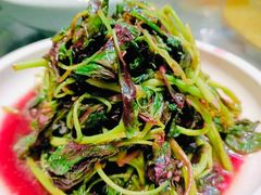 苋菜-金锅小厨(乐活街店)