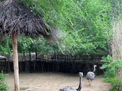 -北京野生动物园