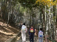 -敬亭山风景名胜区