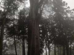 -优游吧斯邹族文化部落