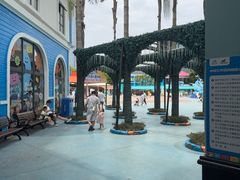 -海合安成都极地海洋公园