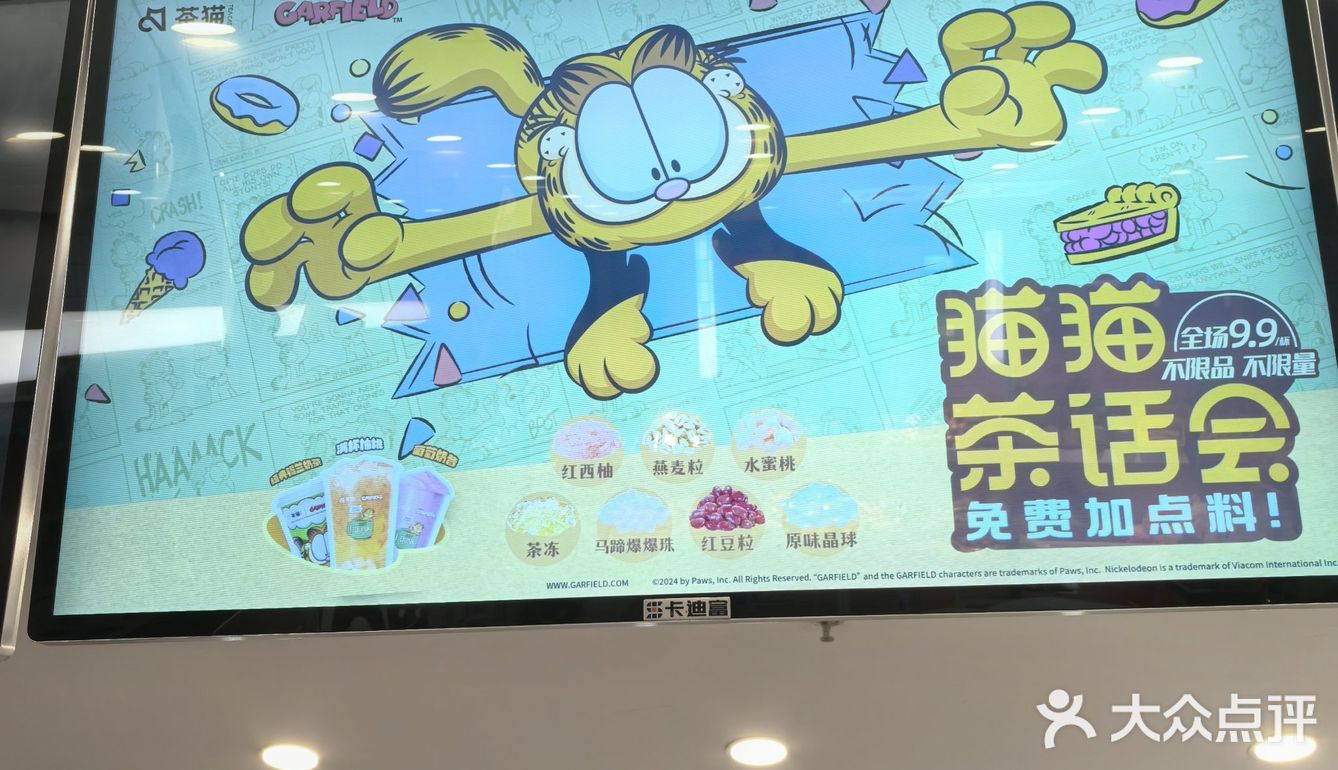 茶猫真是平替中的战斗机