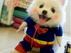 -上海市中医医院(芷江路院区)