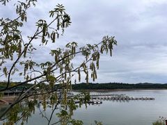 -仙海旅游度假区