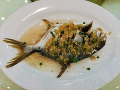 仓鱼-喜相逢海鲜美食城(五邑平价农副产品批发市场店)