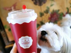 -桂桂茶(万嘉广场店)