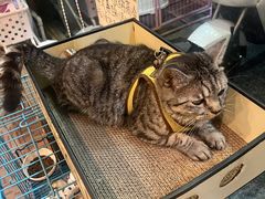 -花园街6号(千禧店)