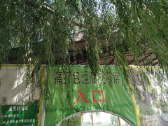 -白洋淀景区