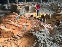 -自贡恐龙博物馆