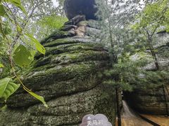 -汤旺河林海奇石景区