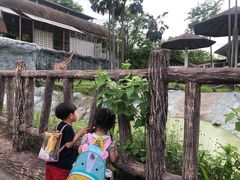 -清迈夜间动物园