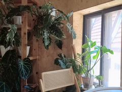 -Rabbit Cafe私房西餐甜点咖啡(栖霞路店)