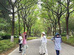 -白塘生态植物园