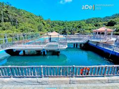 -广东惠东海龟国家级自然保护区