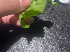 -壹炉自助烤肉烧烤店(港悦广场店)