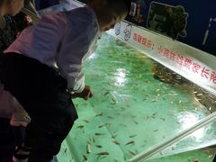 -重庆欢乐海底世界