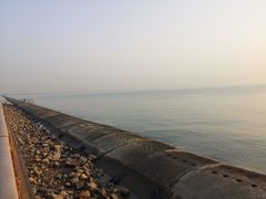 -东疆建设开发纪念公园