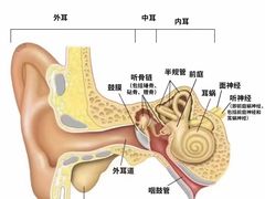 -自然之声助听器(平凉店)
