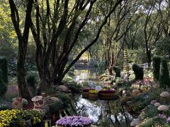 -上海共青森林公园