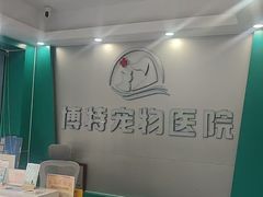 -博特宠物医院24h犬猫全科.骨科·异宠