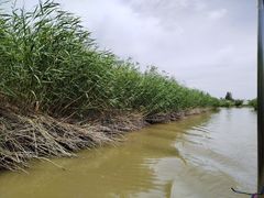 -敕勒川草原文化旅游区