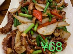 酱爆八爪鱼-金丝饭庄(金丝新天地保障性住宅小区店)