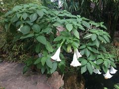 -南通洲际绿博园